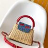 LV BAG CHERRY ADDITION 2