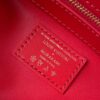 LV BAG CHERRY ADDITION 3